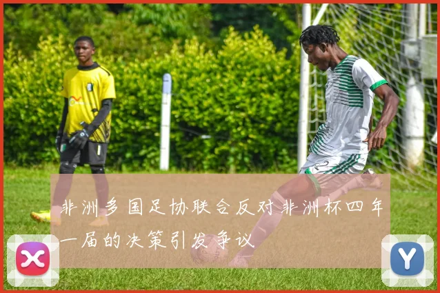 非洲多国足协联合反对非洲杯四年一届的决策引发争议