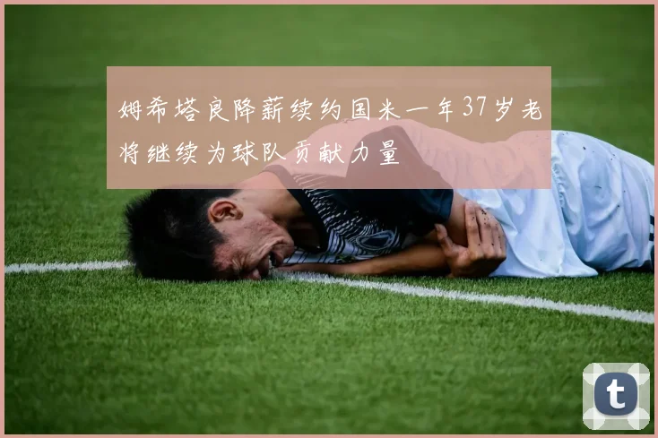 姆希塔良降薪续约国米一年37岁老将继续为球队贡献力量